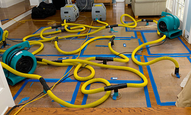 Professional Crawl Space Water Removal technician working in Woodville, FL